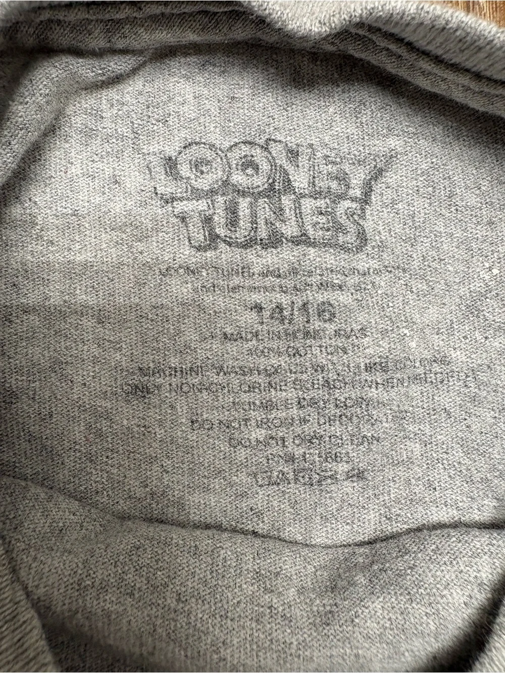 Warner Bros. Tune Squad Heather Gray Kids Tee with Blue & Red Logo
